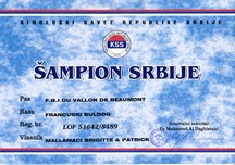 de molosse Land - F.B.I Champion