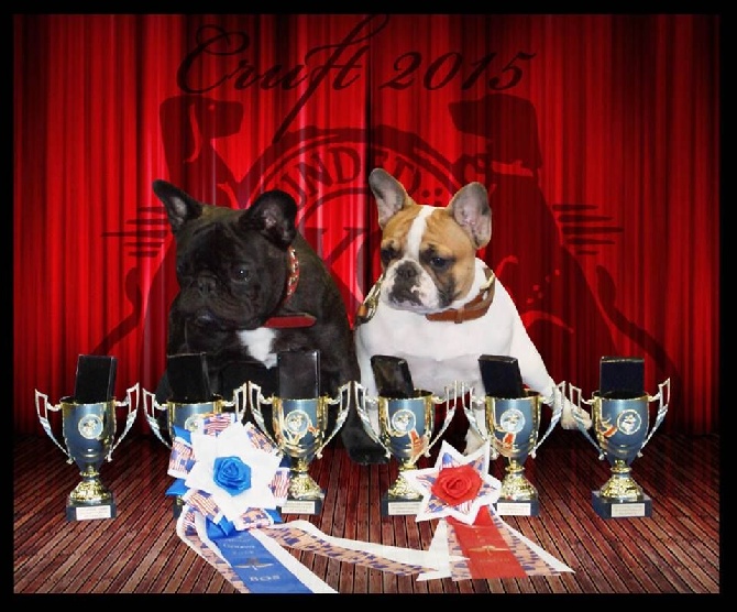 qualifié pour la crufts 2015